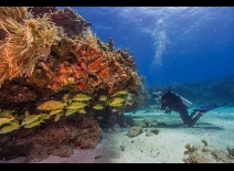 Biscayne National Park
