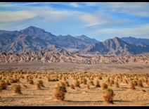 The wonderful deserts of the South West