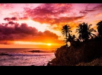 Everything about Hawaii