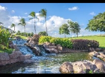 Hawaiian nature